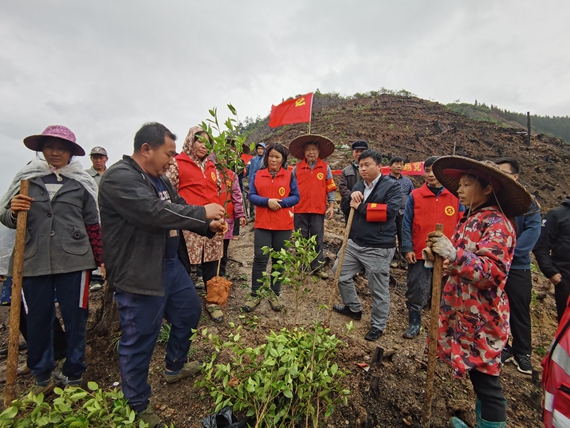 归内村党总支部书记胡志斌在讲解油茶种植技术1.jpg