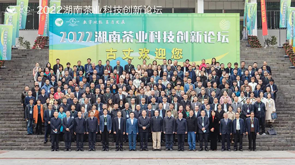 2022湖南茶业科技创新论坛在古丈县隆重开幕